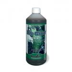 Kliknij aby zobaczyć zdjęcie w oryginalnej wielkości