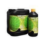 Kliknij aby zobaczyć zdjęcie w oryginalnej wielkości