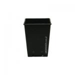 Kliknij aby zobaczyć zdjęcie w oryginalnej wielkości