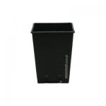 Kliknij aby zobaczyć zdjęcie w oryginalnej wielkości