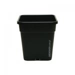 Kliknij aby zobaczyć zdjęcie w oryginalnej wielkości