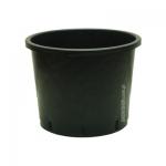 Kliknij aby zobaczyć zdjęcie w oryginalnej wielkości