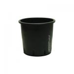 Kliknij aby zobaczyć zdjęcie w oryginalnej wielkości