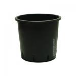 Kliknij aby zobaczyć zdjęcie w oryginalnej wielkości