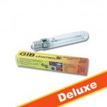 Kliknij aby zobaczyć zdjęcie w oryginalnej wielkości