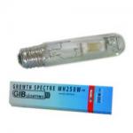 Kliknij aby zobaczyć zdjęcie w oryginalnej wielkości