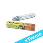 Kliknij aby zobaczyć zdjęcie w oryginalnej wielkości