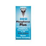 Kliknij aby zobaczyć zdjęcie w oryginalnej wielkości