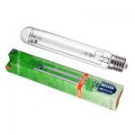 Kliknij aby zobaczyć zdjęcie w oryginalnej wielkości