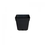 Kliknij aby zobaczyć zdjęcie w oryginalnej wielkości