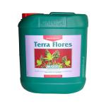 Kliknij aby zobaczyć zdjęcie w oryginalnej wielkości