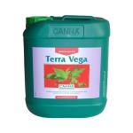 Kliknij aby zobaczyć zdjęcie w oryginalnej wielkości