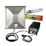 Kliknij aby zobaczyć zdjęcie w oryginalnej wielkości