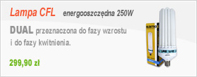 Lampa energooszczędna CFL 250W DUAL